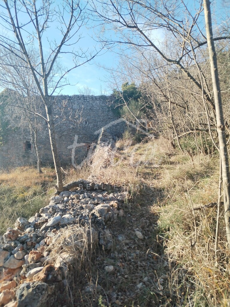 Image 6340269 - 9
