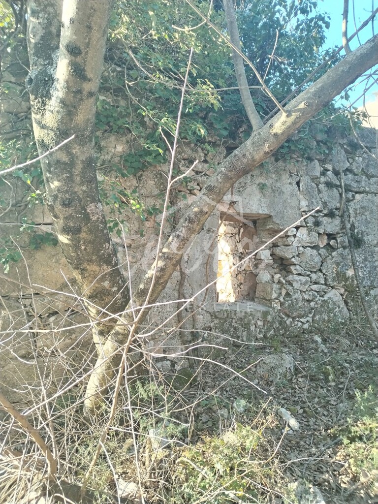Image 6340269 - 7