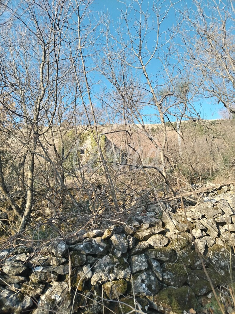 Image 6340269 - 12