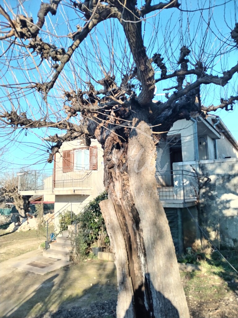 Image 6340271 - 2
