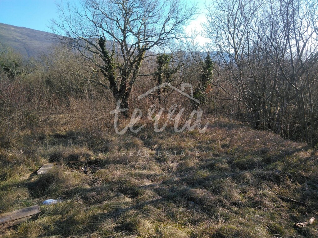 Image 6340281 - 3