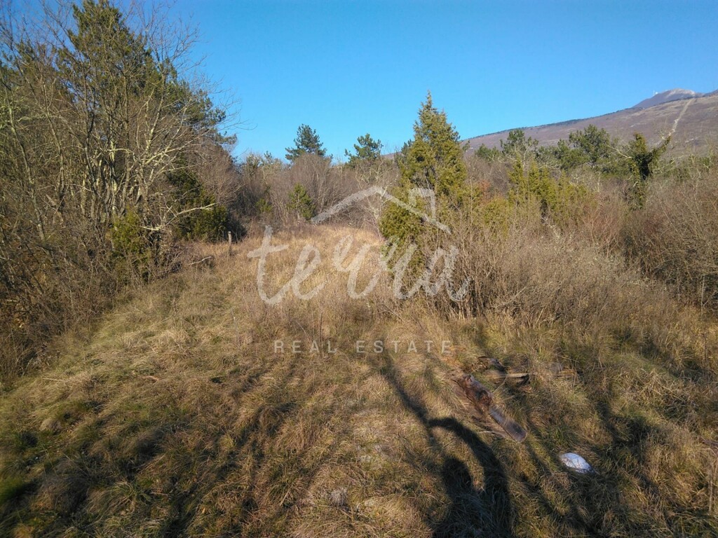 Image 6340281 - 1