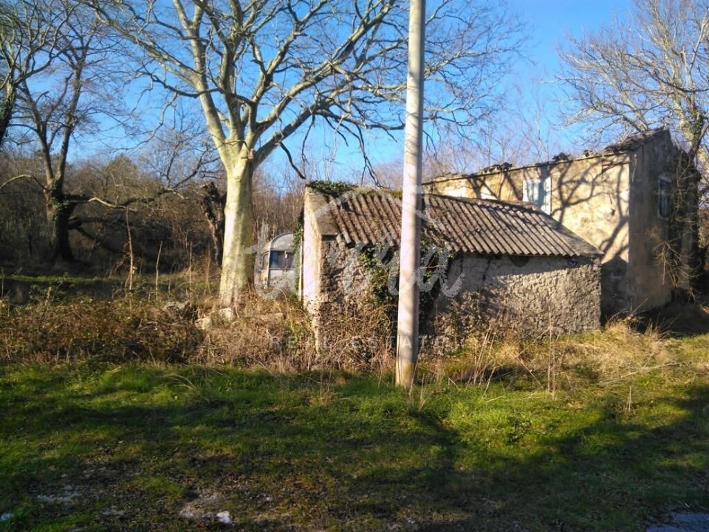 Image 6340282 - 1