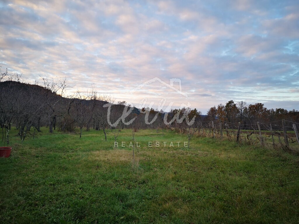 Image 6340283 - 3