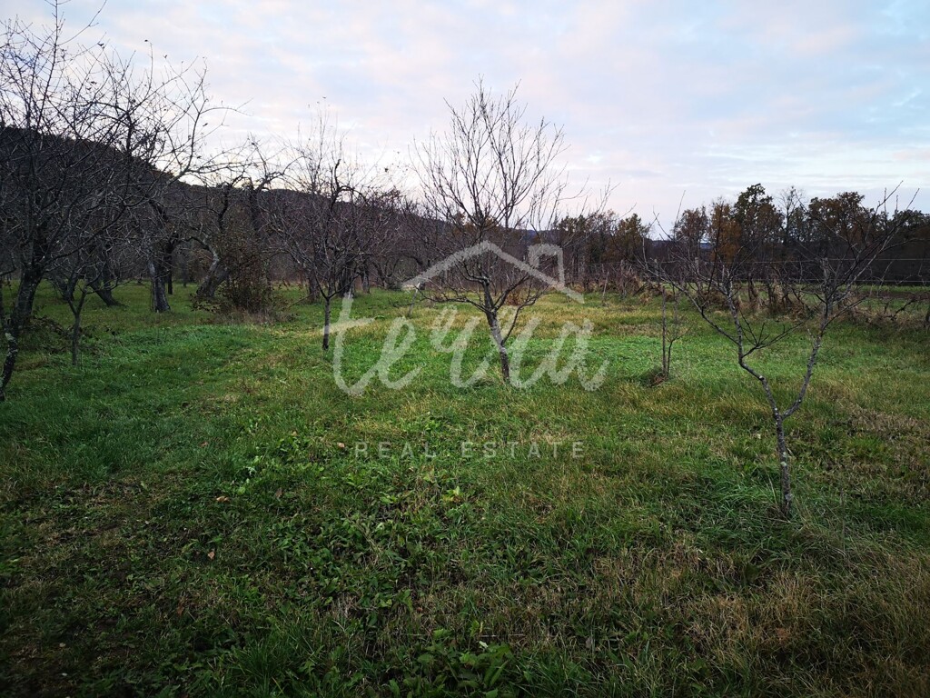 Image 6340283 - 7