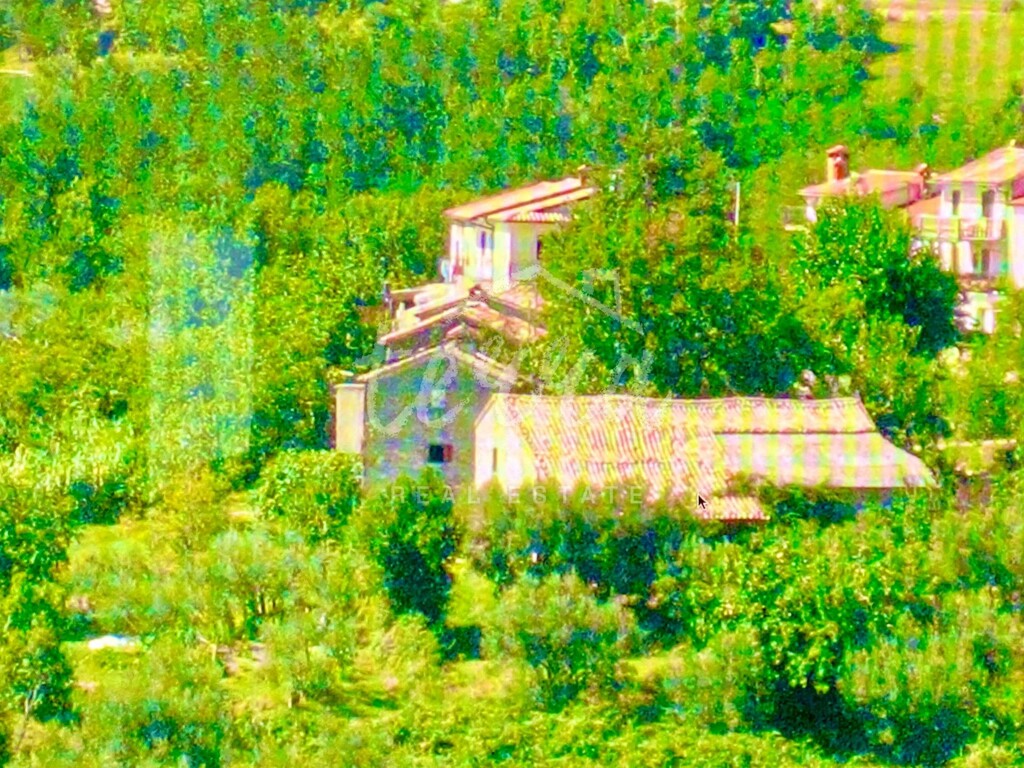 Image 6340284 - 4