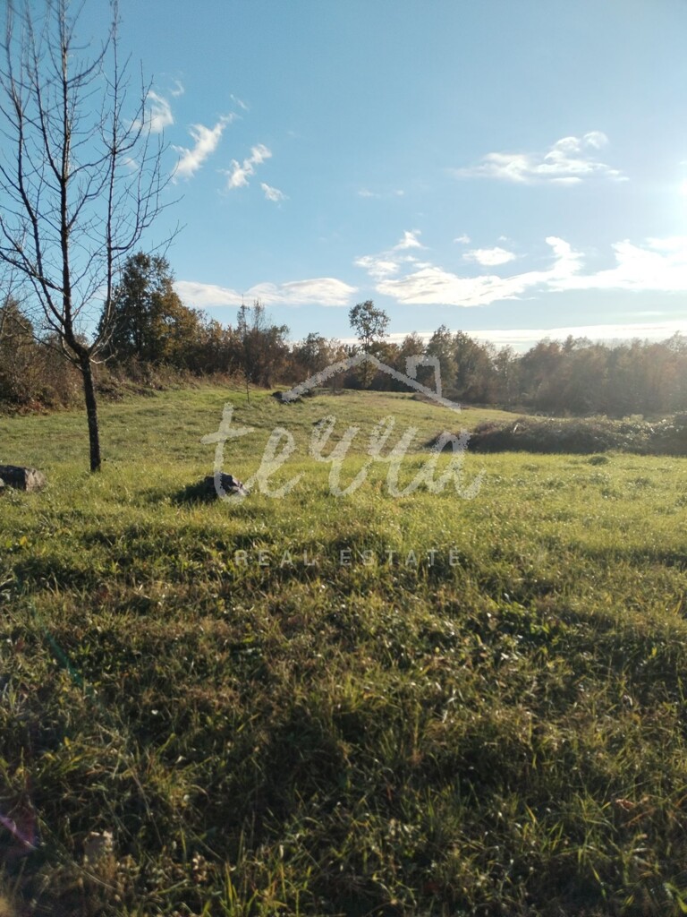 Image 6340286 - 1