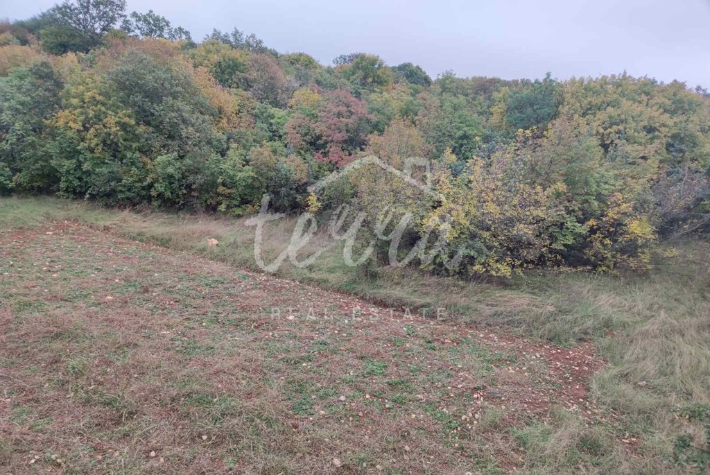 Image 6340290 - 1