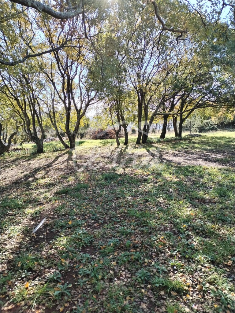 Image 6340292 - 9