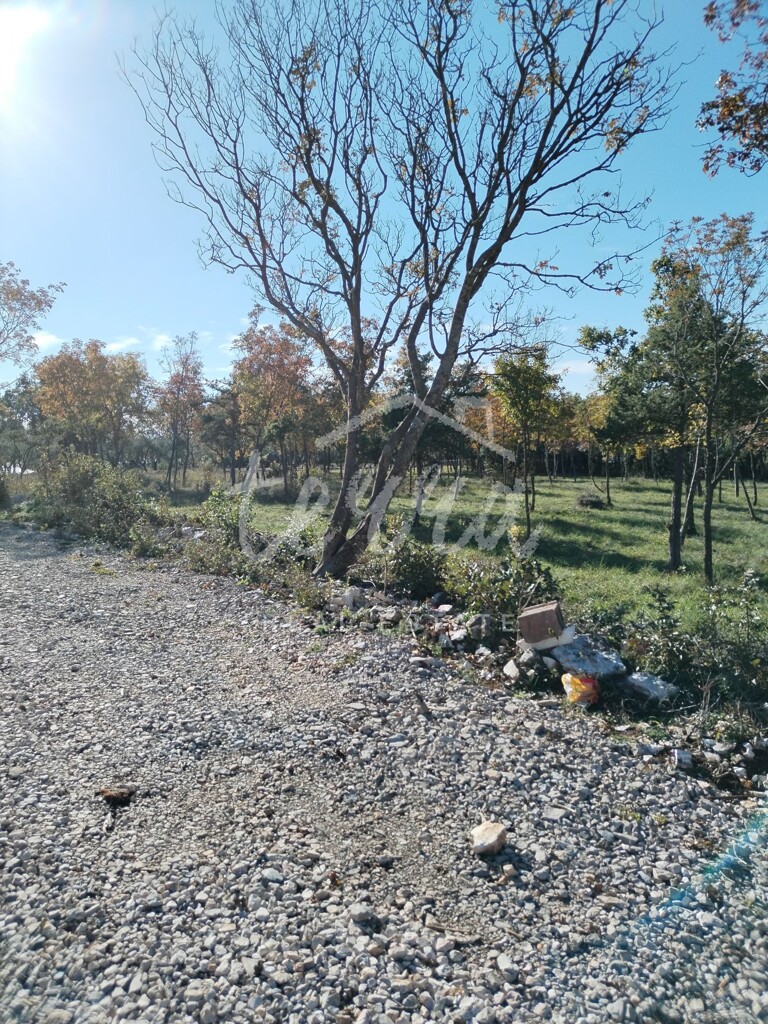 Image 6340295 - 2