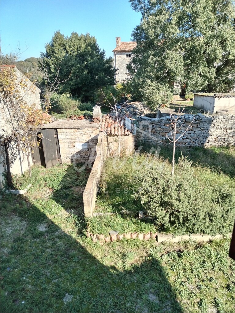 Image 6340299 - 12