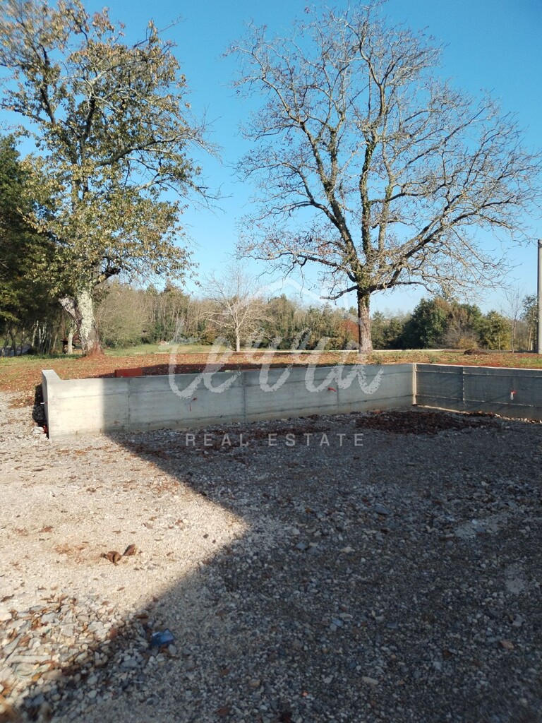 Image 6340301 - 9