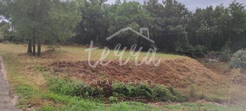 Thumbnail 6340302 - 8