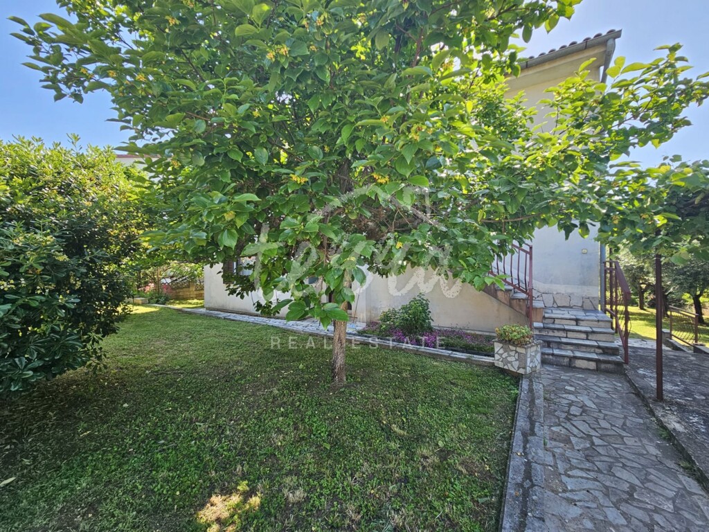 Image 6340315 - 9