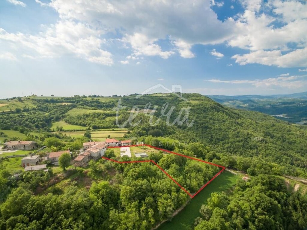 Image 6340316 - 6
