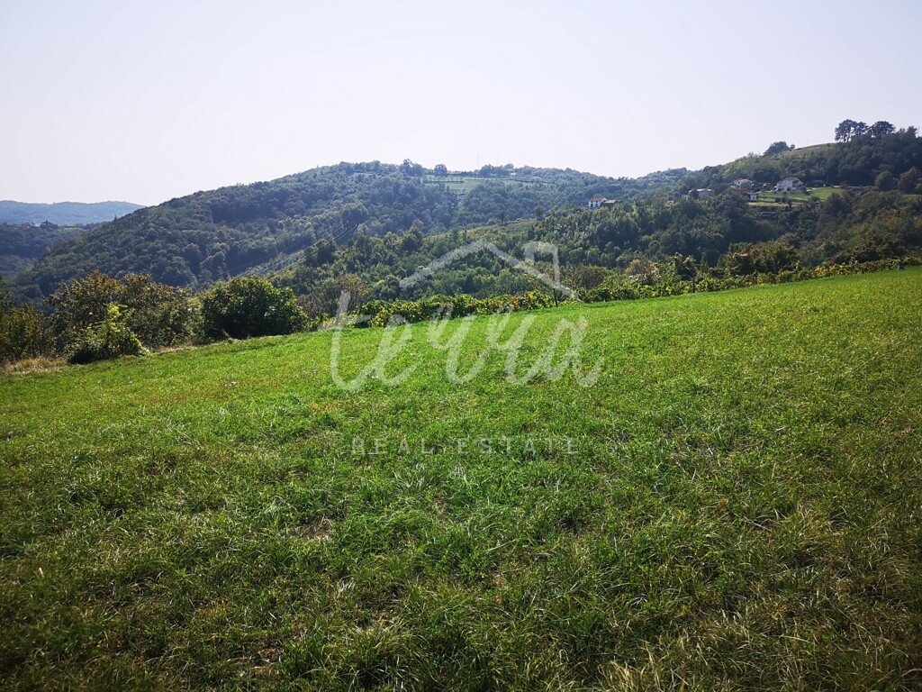 Image 6340321 - 2