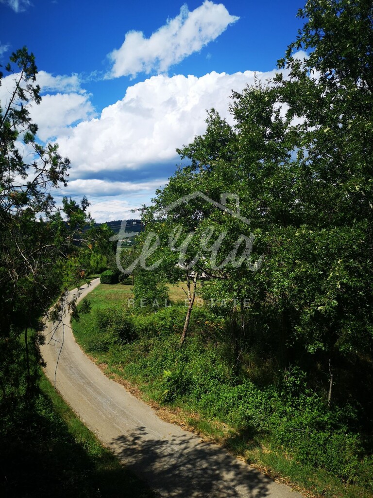 Image 6340344 - 7