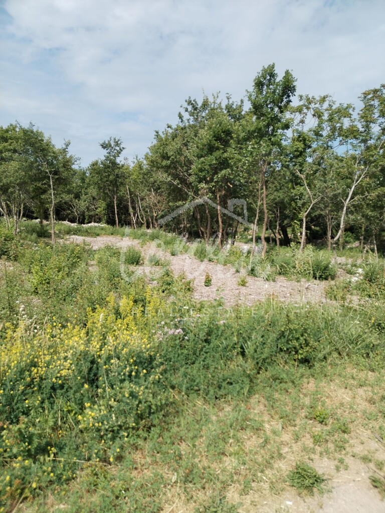 Image 6340356 - 5