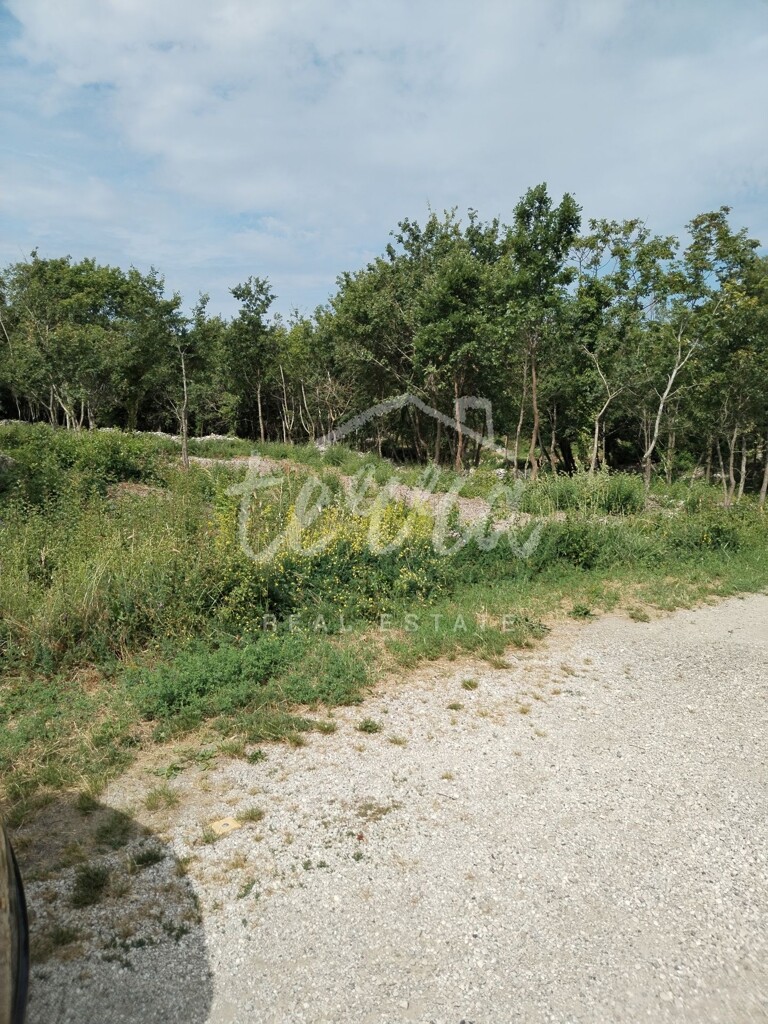 Image 6340356 - 1
