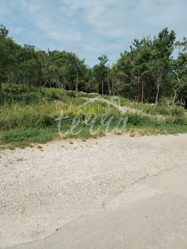 Thumbnail 6340356 - 4