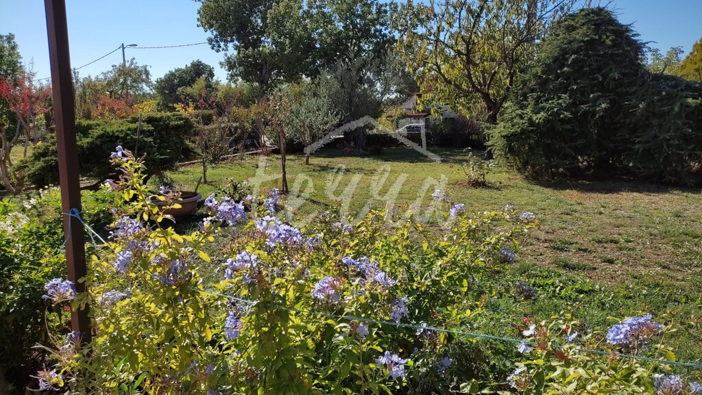 Image 6340359 - 6