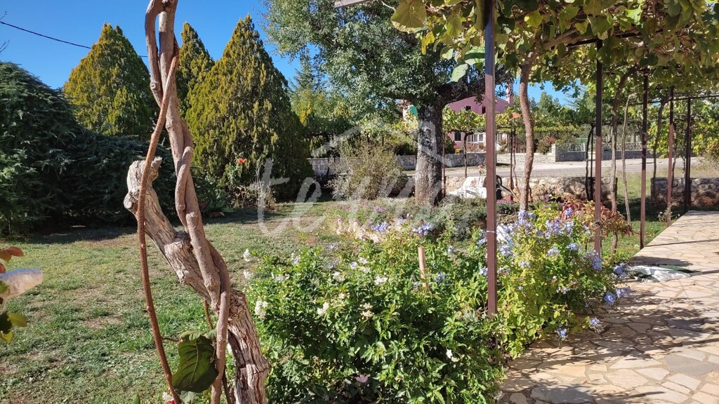 Image 6340359 - 5