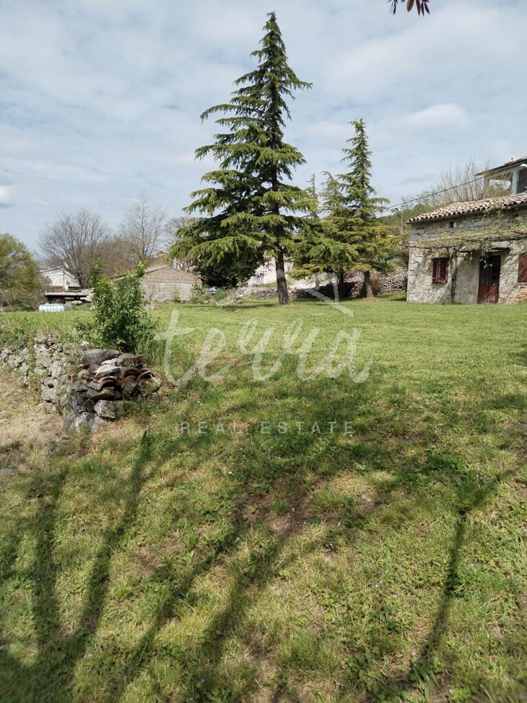 Image 6340367 - 2