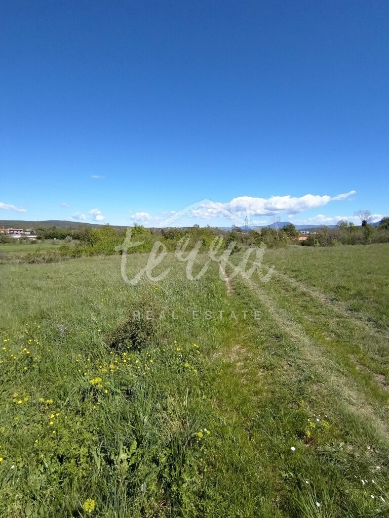 Image 6340368 - 3