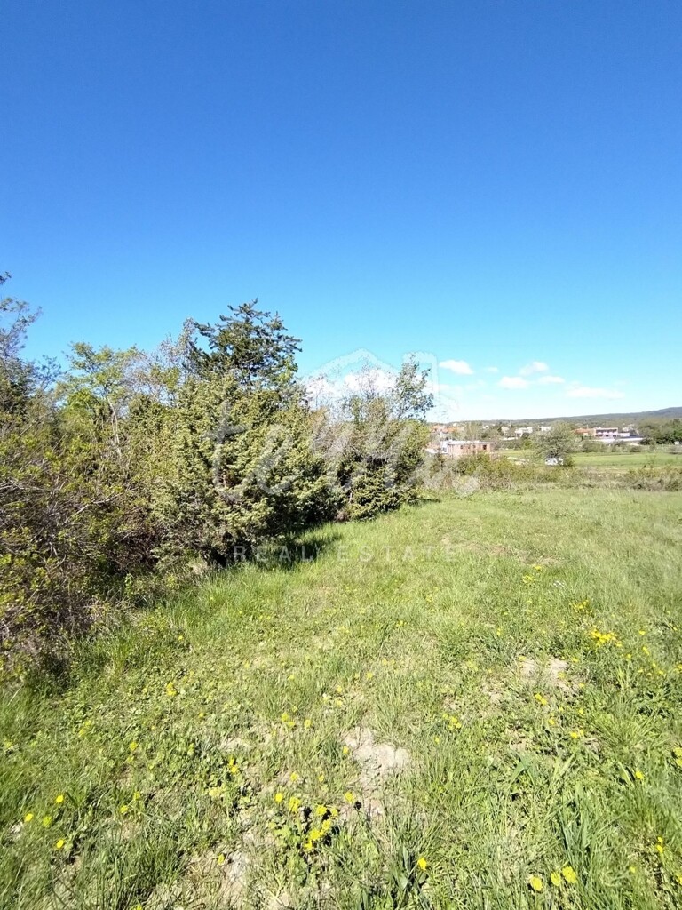 Image 6340368 - 1