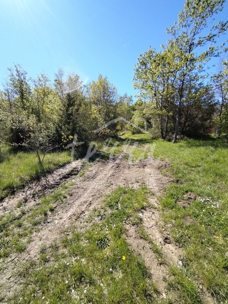 Image 6340368 - 6