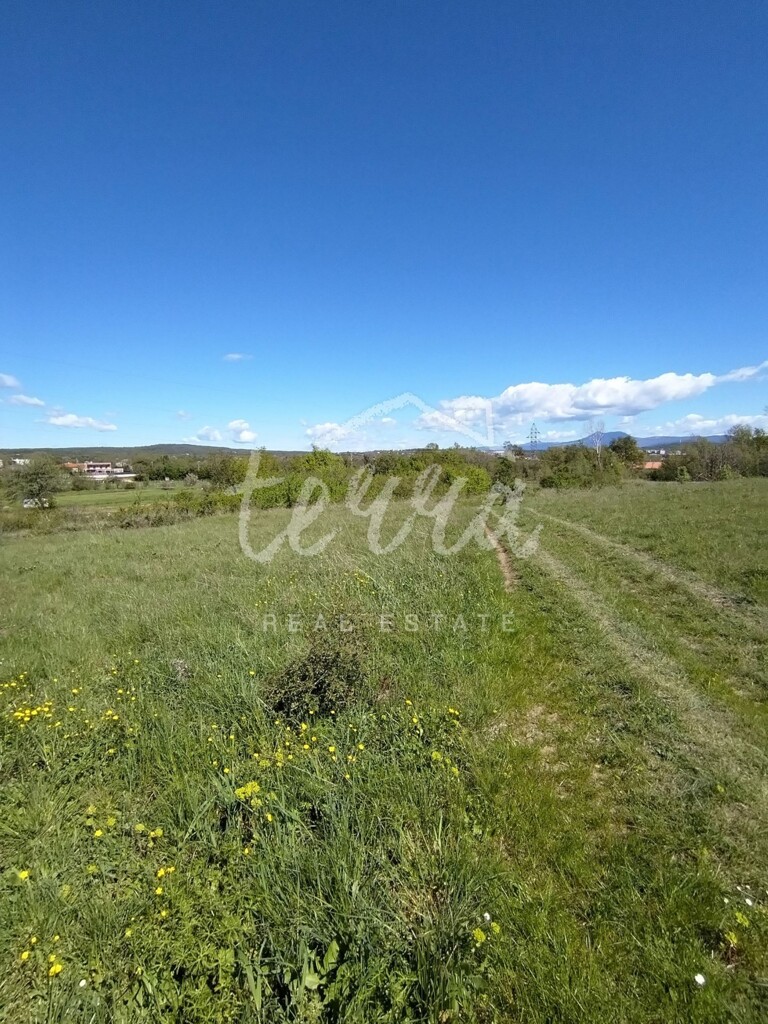 Image 6340369 - 2