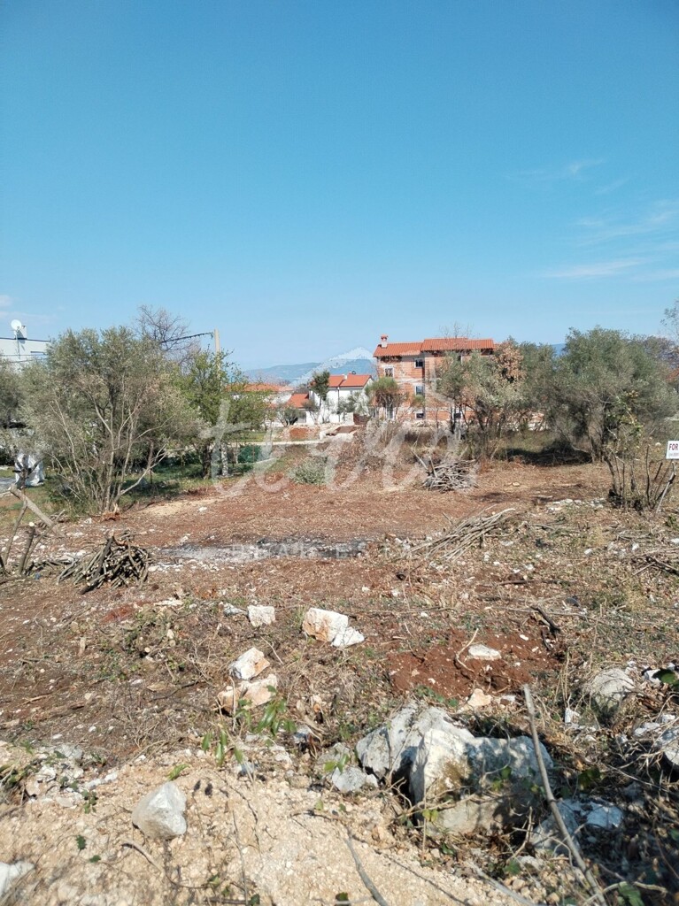 Image 6340379 - 2