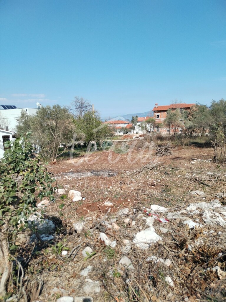 Image 6340379 - 4