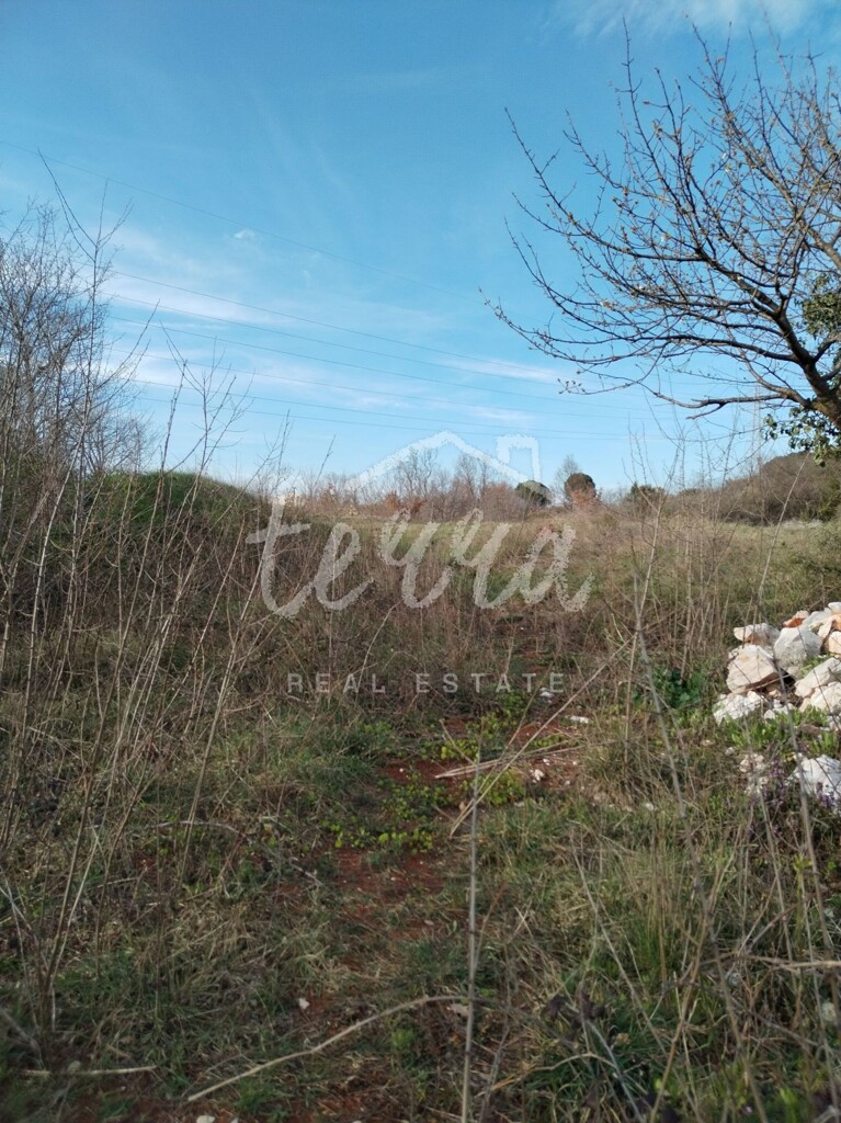 Image 6340381 - 4