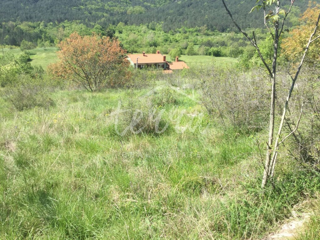 Image 6340392 - 1