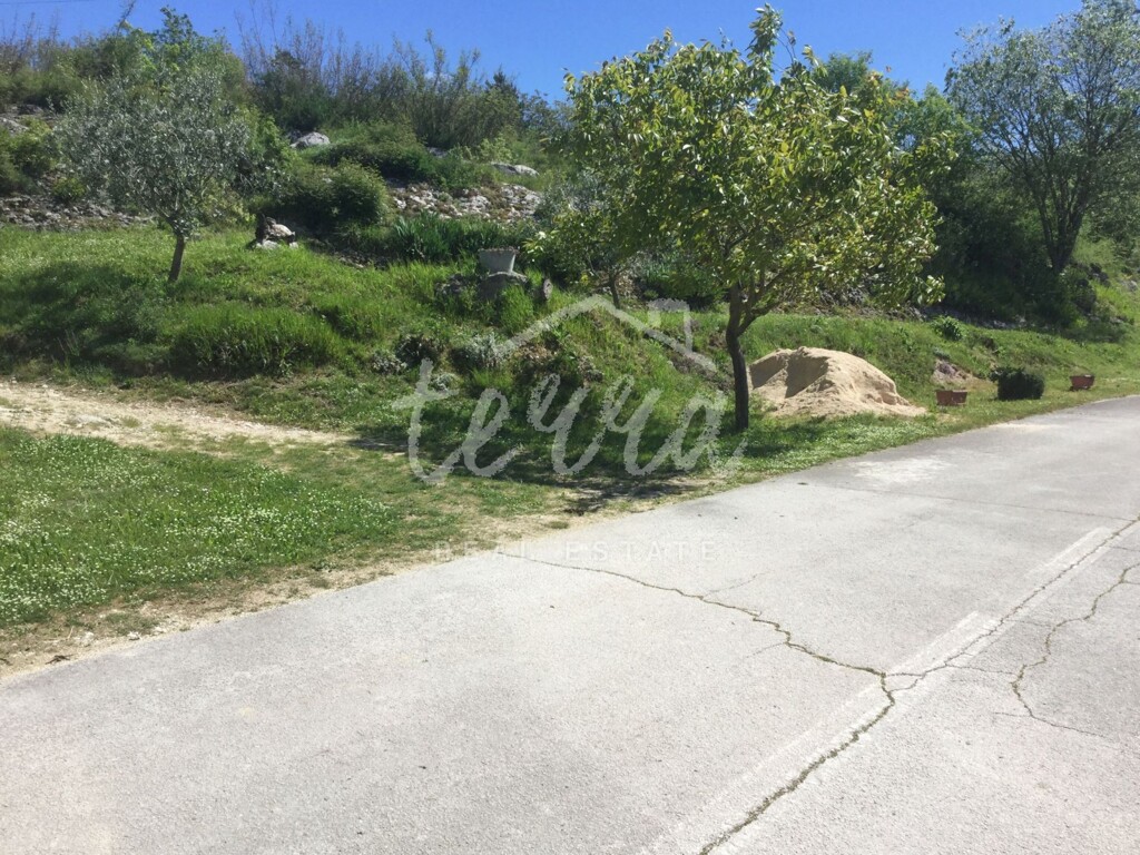 Image 6340392 - 2