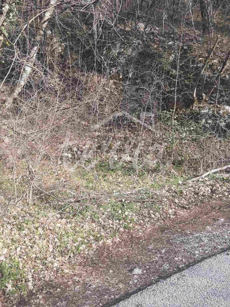 Image 6340397 - 1