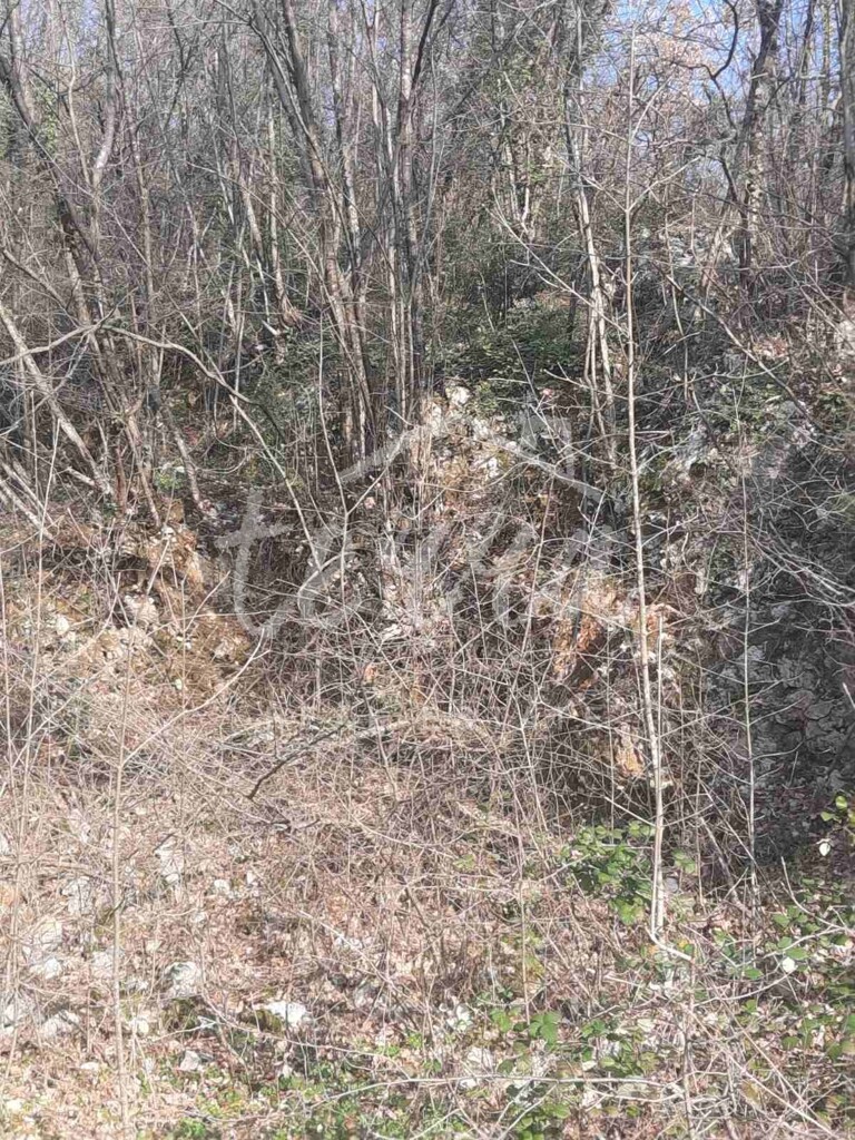 Image 6340397 - 3