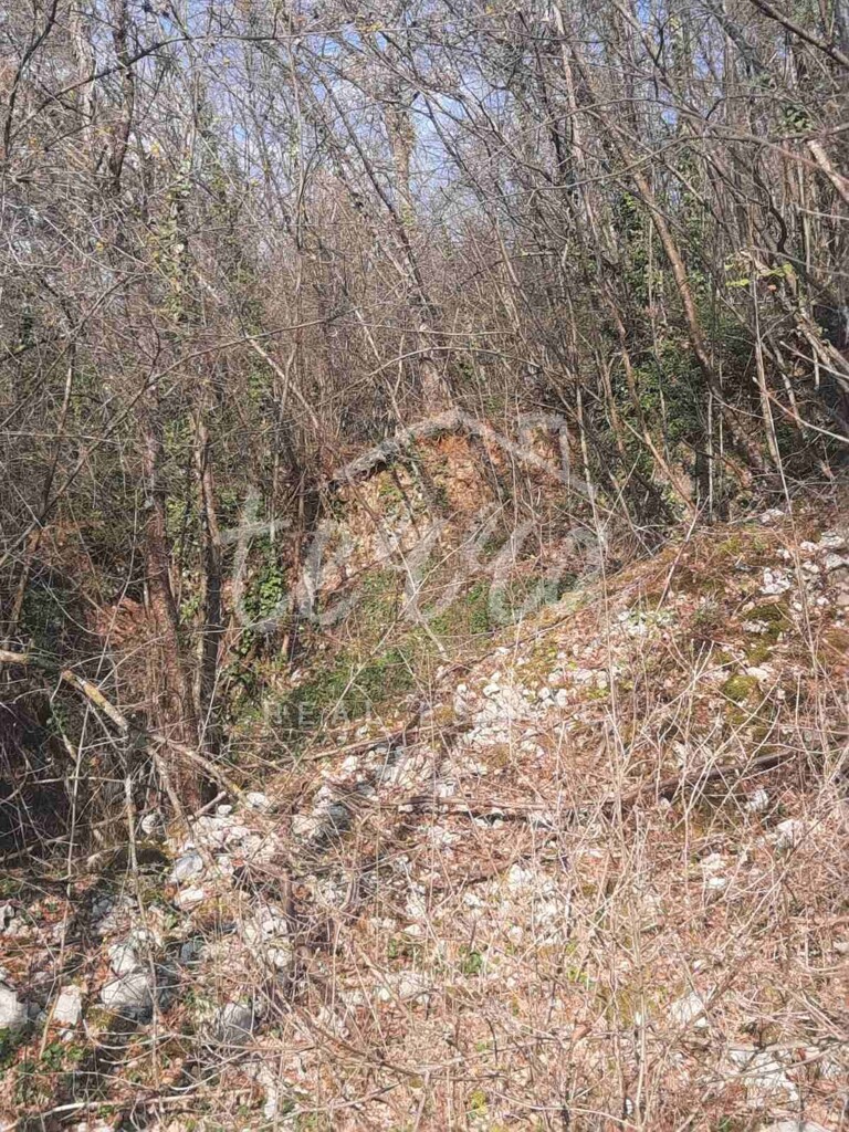 Image 6340397 - 5