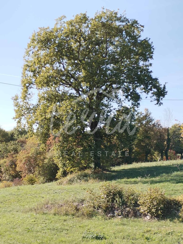 Image 6340402 - 1
