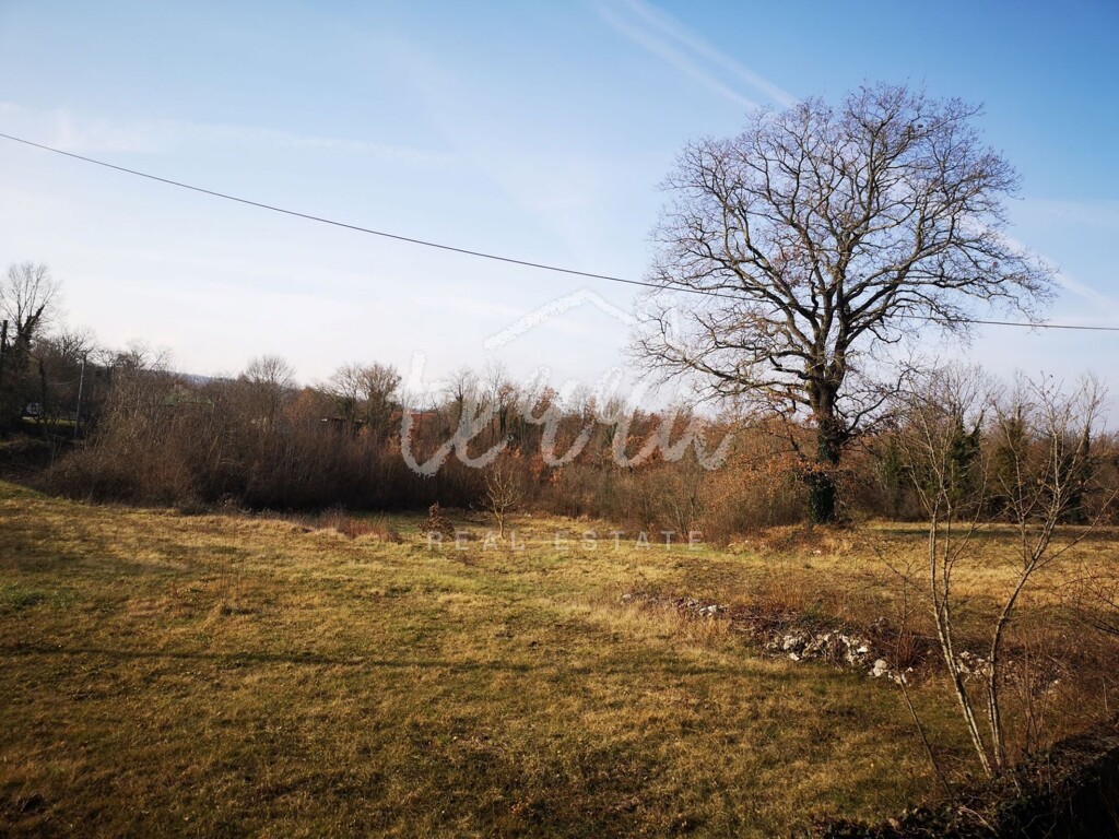 Image 6340402 - 2