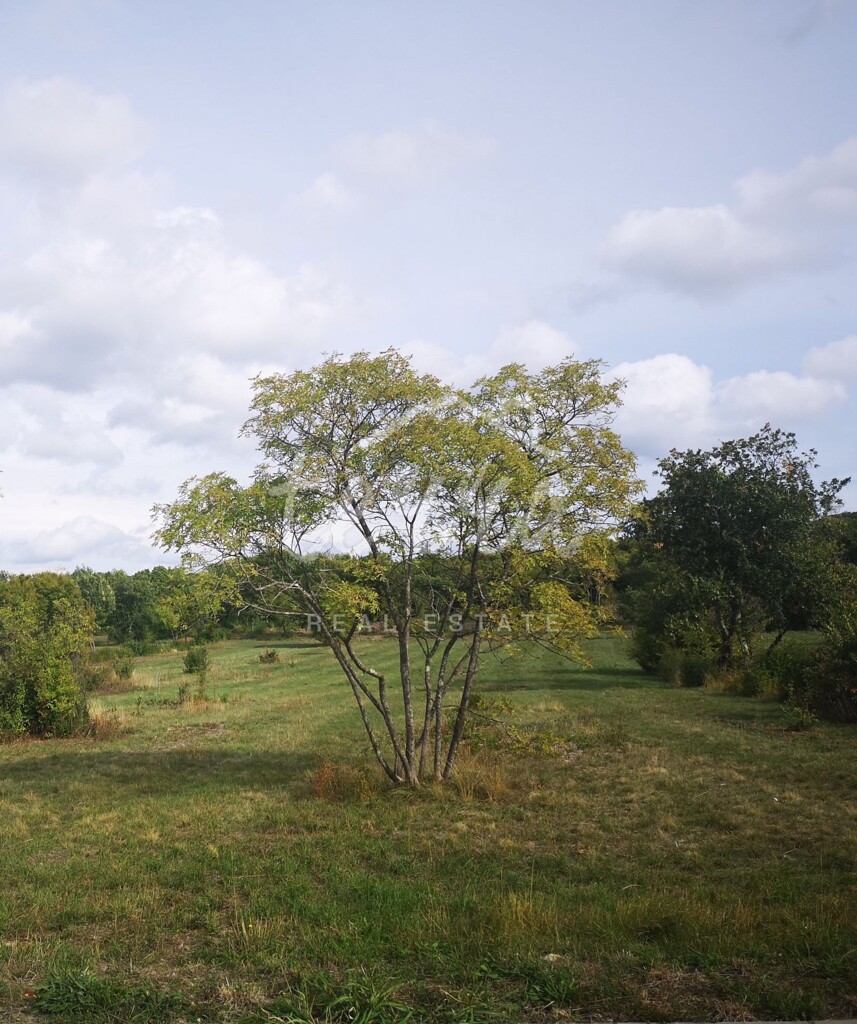 Image 6340406 - 1