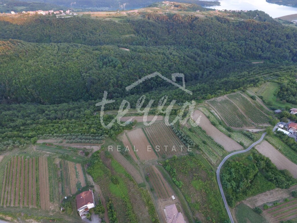 Image 6340408 - 2
