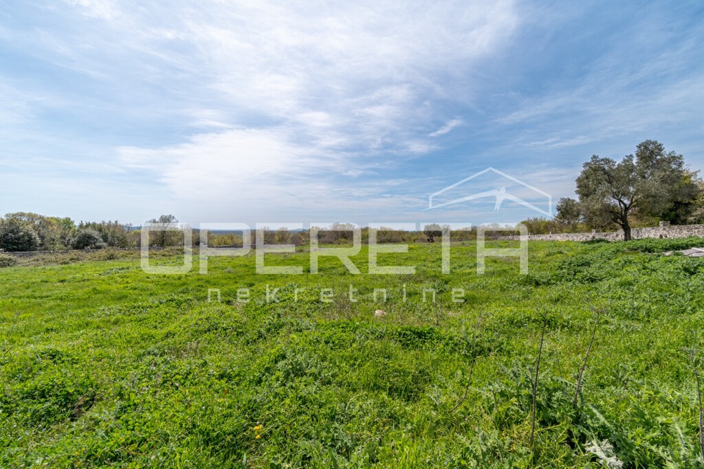 Image 6340568 - 2