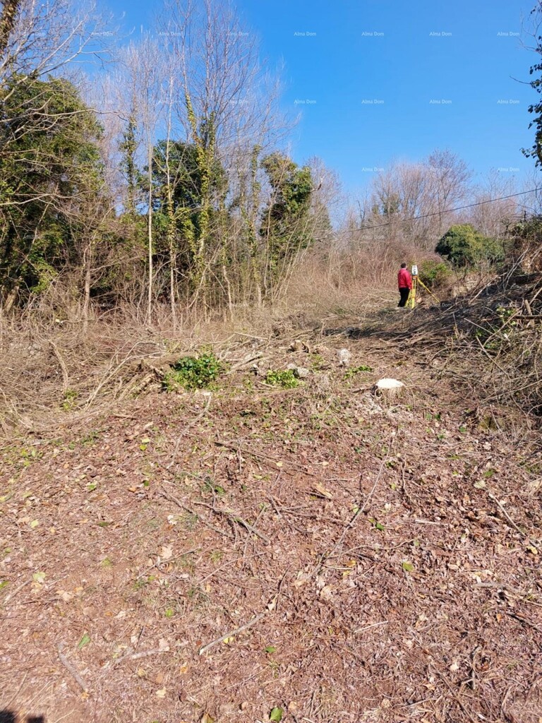 Image 6340601 - 7
