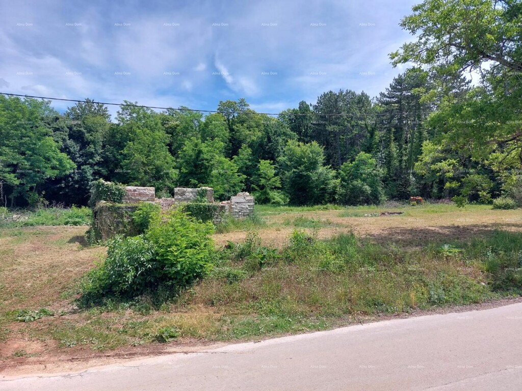 Image 6340601 - 3