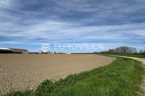 Thumbnail 6340677 - 3