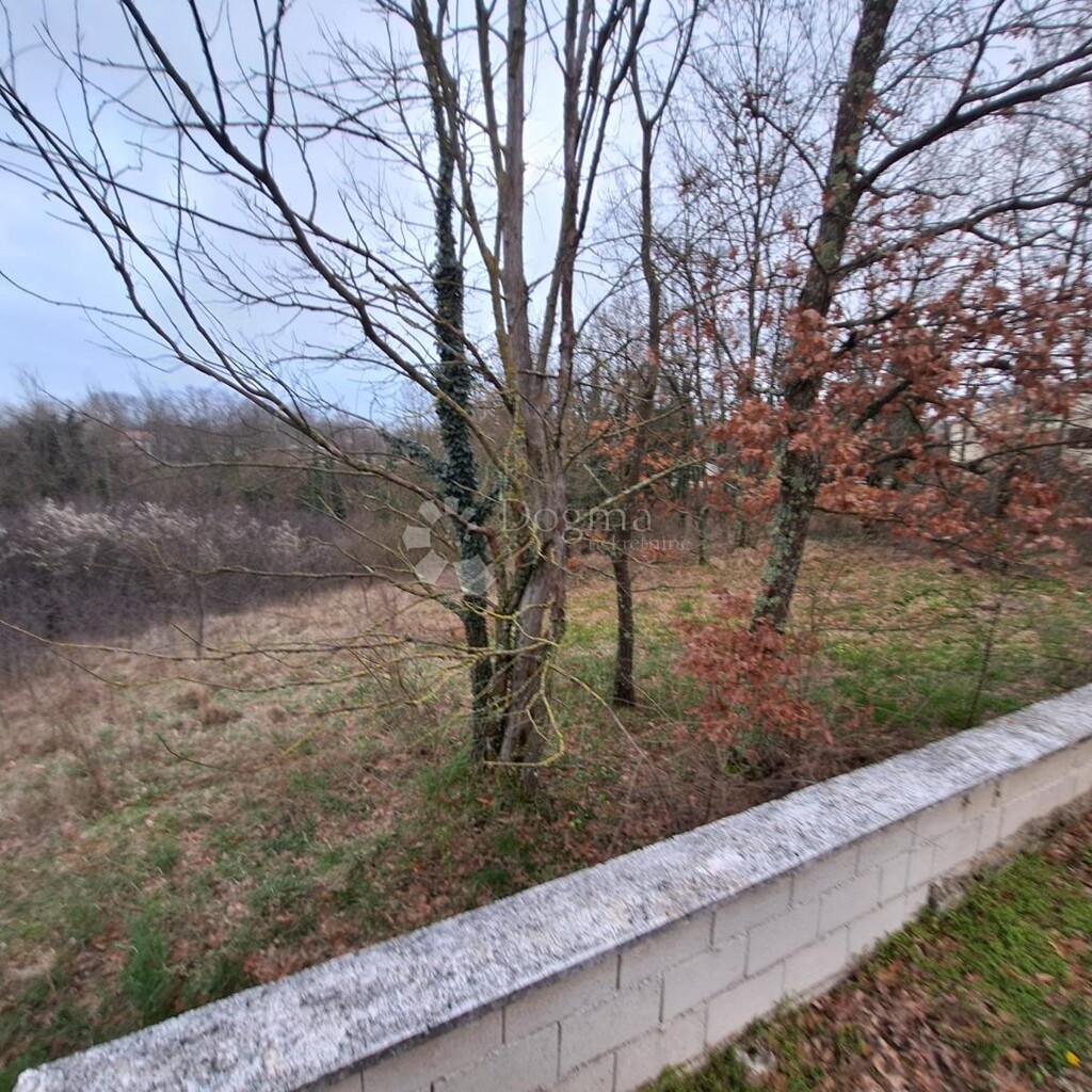 Image 6340710 - 3