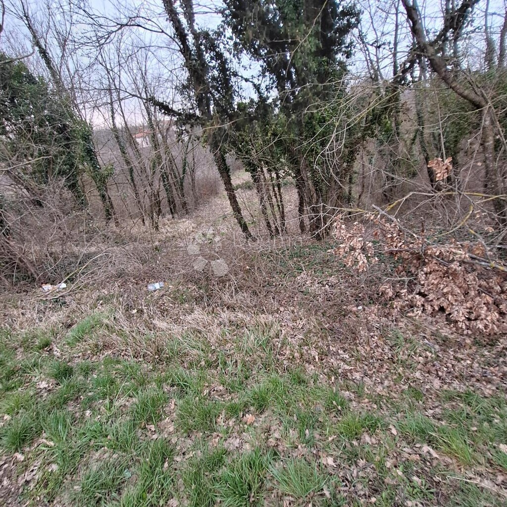 Image 6340711 - 5