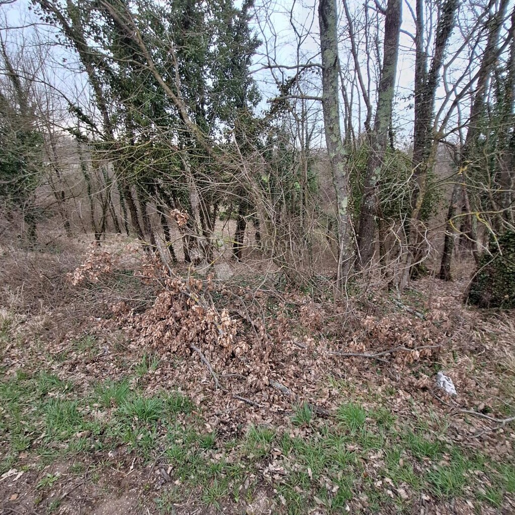 Image 6340711 - 2